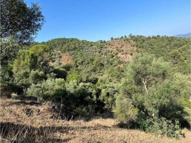 Terreno en venta en Córdoba, Andalucía