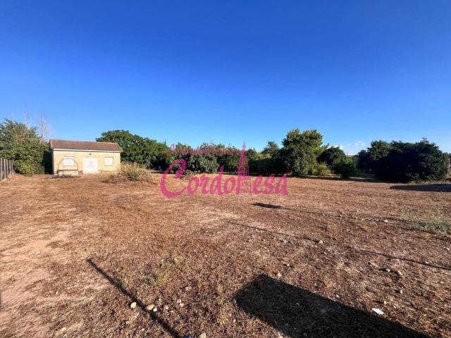 Terreno en venta en Córdoba, Andalucía