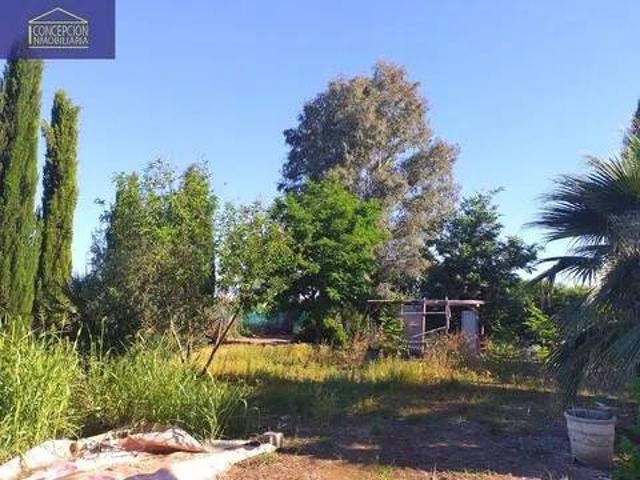 Terreno en venta en Córdoba, Andalucía