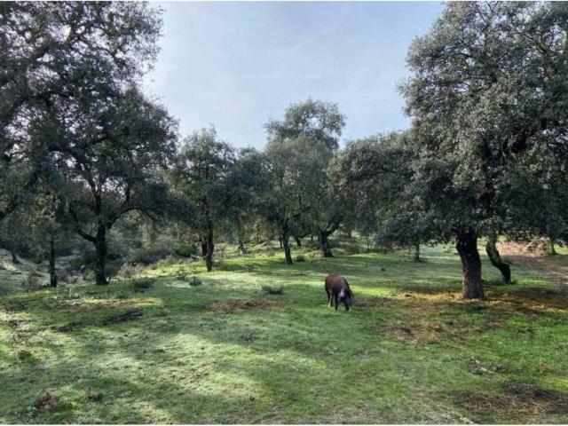 Terreno en venta en Córdoba, Andalucía