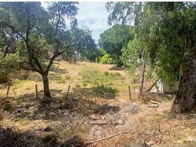 Terreno en venta en Córdoba, Andalucía