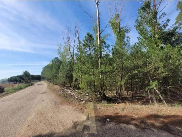 Terreno en venta en Coreses, Castilla y León