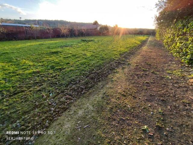 Terreno en venta en Coria, Extremadura