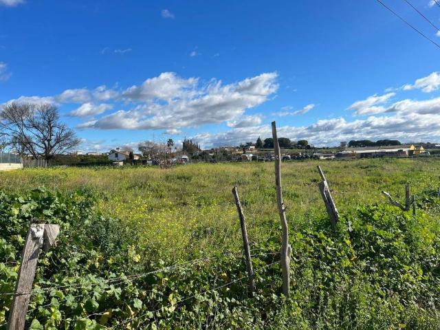 Terreno en venta en Coria Del Río Terreno en venta en Coria Del Río
