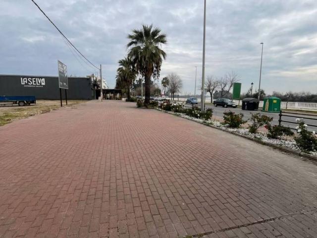 Terreno en venta en Coria Del Río Terreno en venta en Coria Del Río