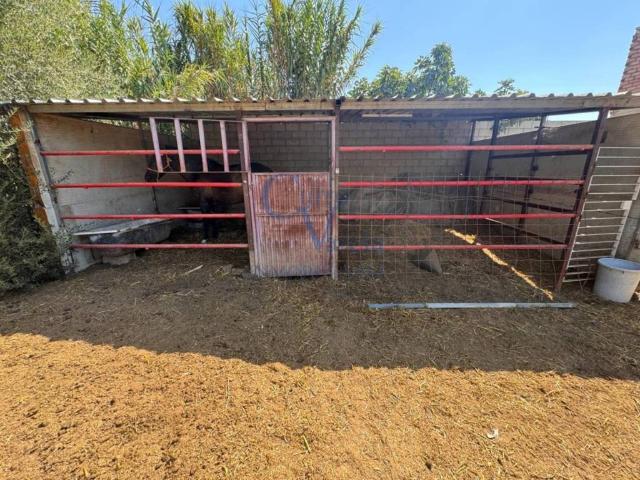 Terreno en venta en Coria Del Río, Andalucía