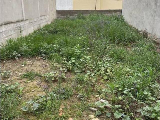 Terreno en venta en Coria Del Río, Andalucía