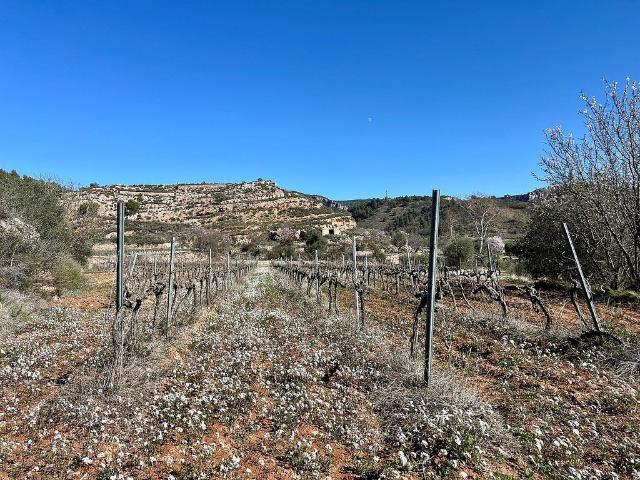 Terreno en venta en Priorat, Catalunya