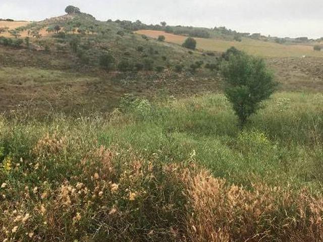 Terreno en venta en Corpa