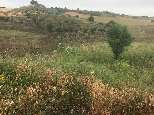 Terreno en venta en Corpa