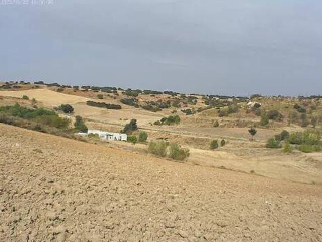 Terreno en venta en Corpa, Madrid