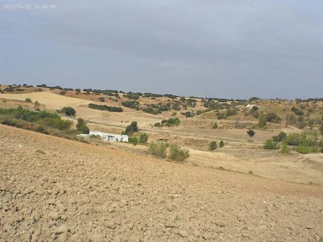 Terreno en venta en Corpa, Madrid