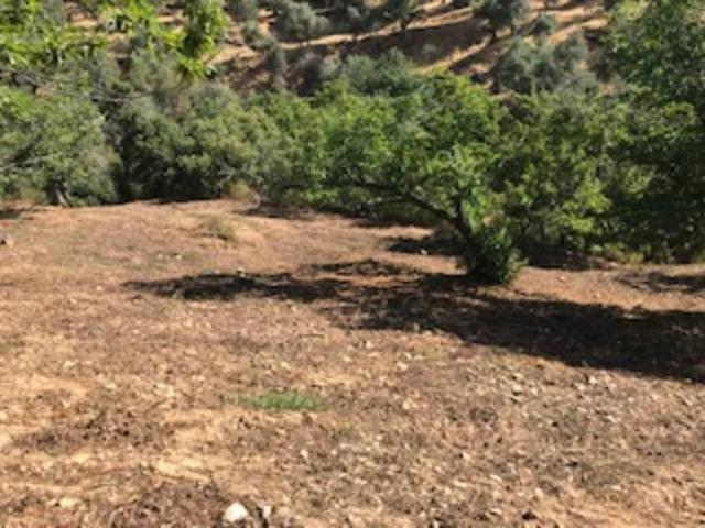 Terreno en venta en Sierra de Huelva, Andalucía
