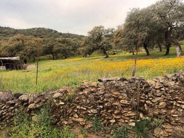 Terreno en venta en Sierra de Huelva, Andalucía