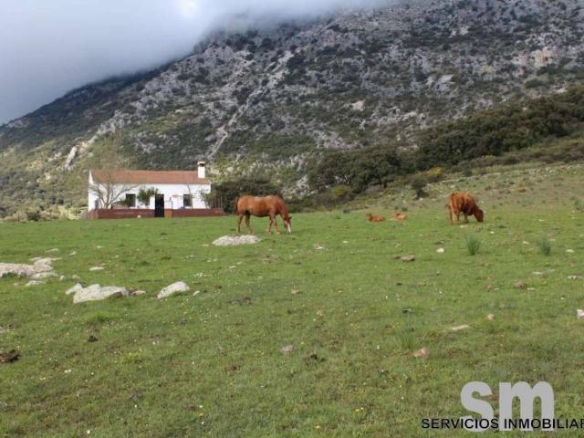 Terreno en venta en Serranía de Ronda, Andalucía