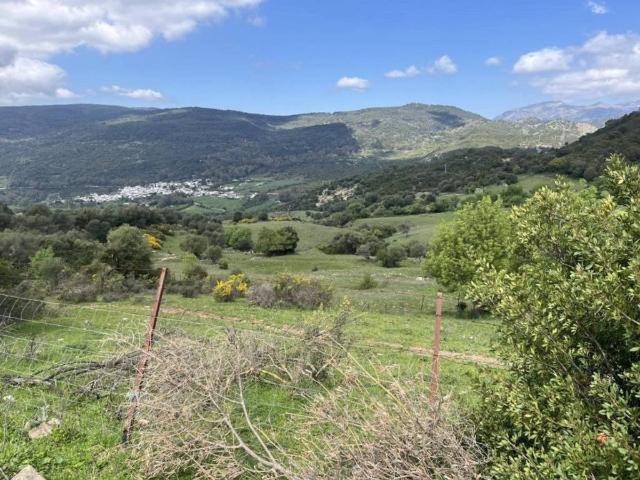 Terreno en venta en Serranía de Ronda, Andalucía