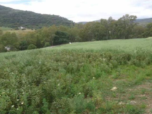 Terreno en venta en Serranía de Ronda, Andalucía