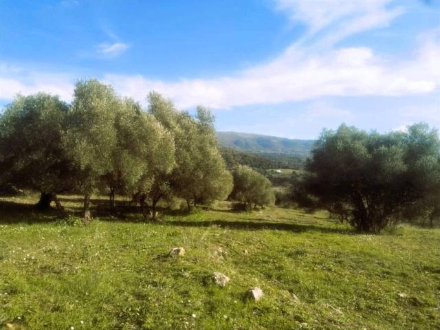 Terreno en venta en Serranía de Ronda, Andalucía
