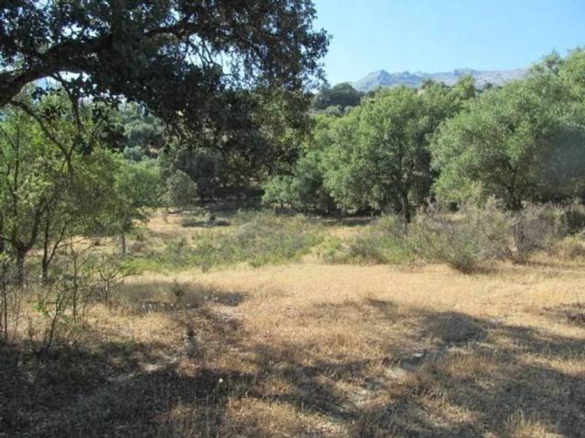 Terreno en venta en Serranía de Ronda, Andalucía