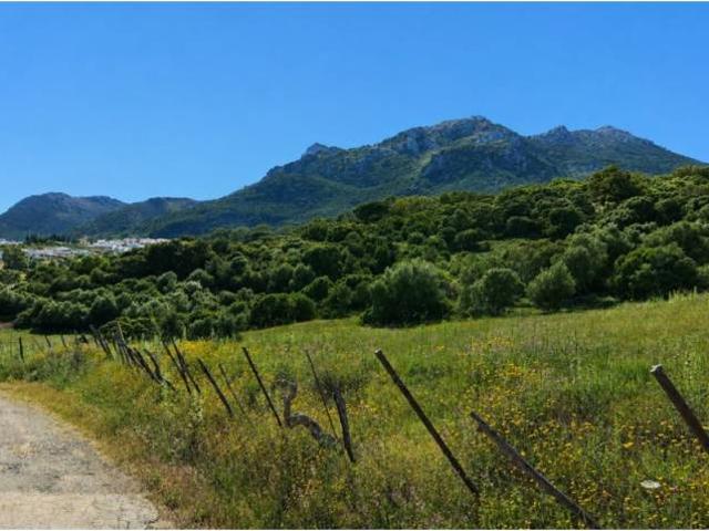 Terreno en venta en Serranía de Ronda, Andalucía