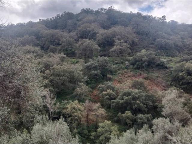 Terreno en venta en Serranía de Ronda, Andalucía