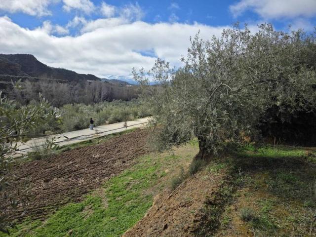 Terreno en venta en Cortes y Graena, Granada