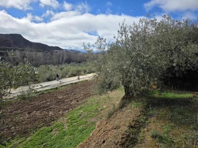 Terreno en venta en Comarca de Guadix, Andalucía