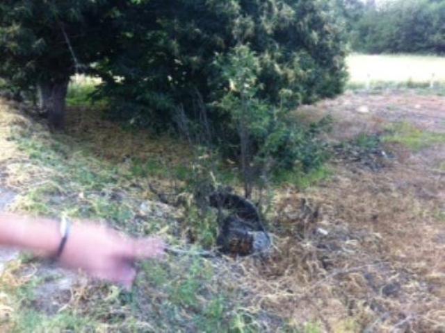 Terreno en venta en El Bierzo, Castilla y León
