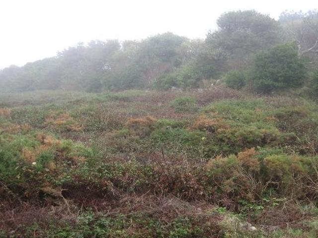 Terreno en venta en A Coruña, Galicia