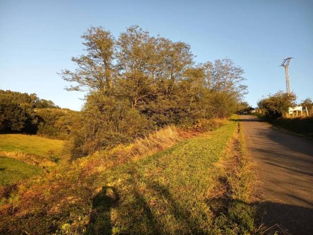 Terreno en venta en Corvera De Asturias, Asturias
