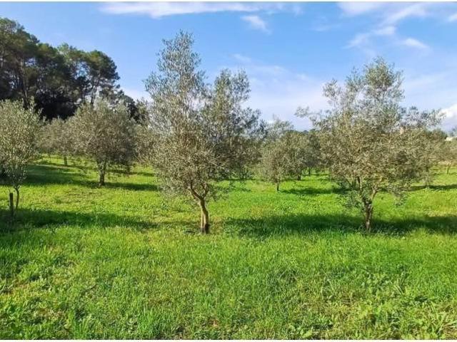 Terreno en venta en Pla de Mallorca, Baleares