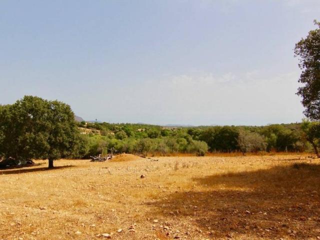 Terreno en venta en Costitx