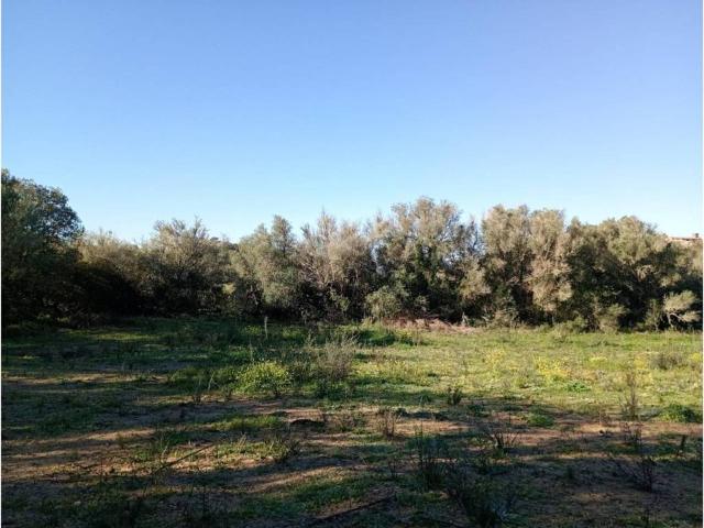 Terreno en venta en Pla de Mallorca, Baleares