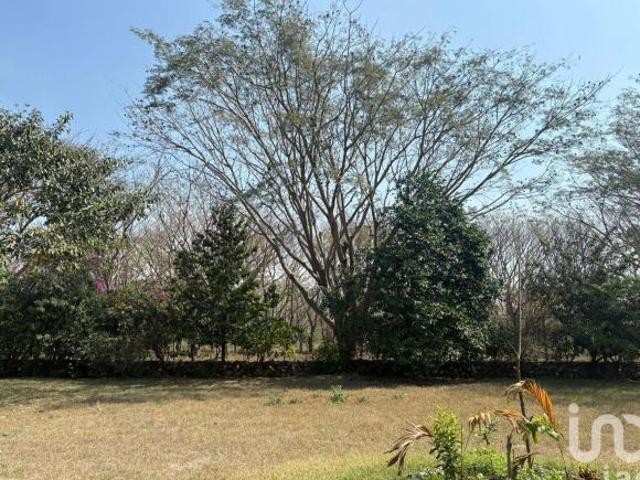 Terreno en venta en Comala, Colima