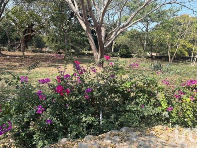 Terreno en venta en Comala, Colima