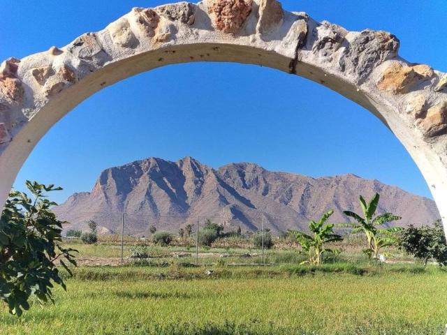 Terreno en venta en el Baix Segura / La Vega Baja, Valencia