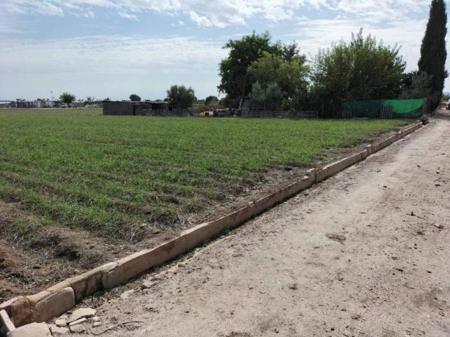 Terreno en venta en el Baix Segura / La Vega Baja, Valencia