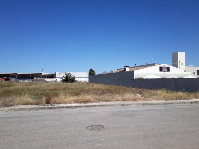Terreno en venta en el Baix Segura / La Vega Baja, Valencia