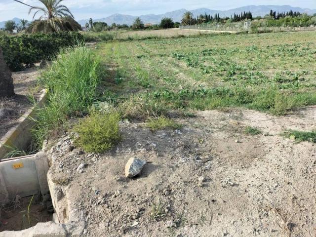 Terreno en venta en el Baix Segura / La Vega Baja, Valencia