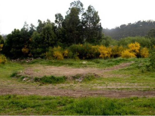 Terreno en venta en Crecente, A Paradanta