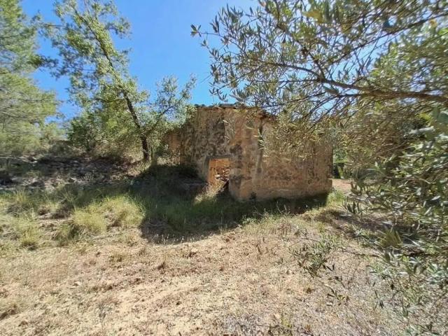 Terreno en venta en Matarraña / Matarranya, Cretas