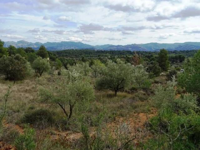 Terreno en venta en Matarraña / Matarranya, Cretas