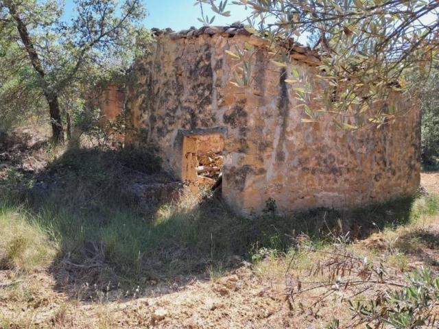 Terreno en venta en Matarraña / Matarranya, Cretas