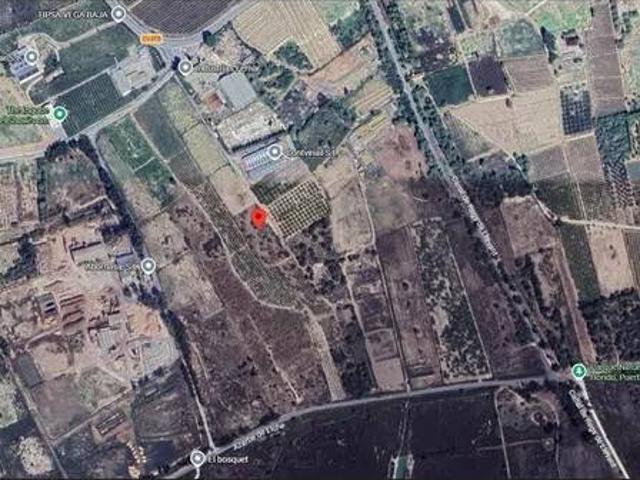 Terreno en venta en el Baix Vinalopó, Valencia