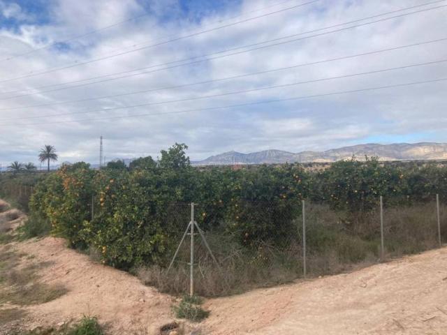 Terreno en venta en el Baix Vinalopó, Valencia