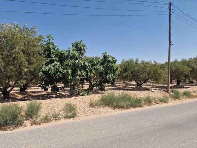 Terreno en venta en el Baix Vinalopó, Valencia