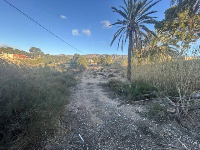 Terreno en venta en el Baix Vinalopó, Valencia