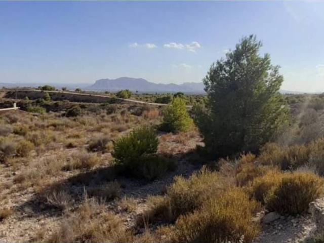 Terreno en venta en el Baix Vinalopó, Valencia
