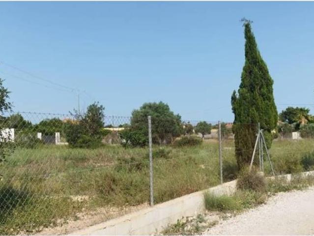 Terreno en venta en el Baix Vinalopó, Valencia
