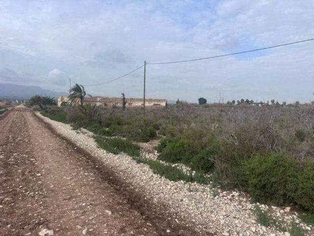 Terreno en venta en el Baix Vinalopó, Valencia
